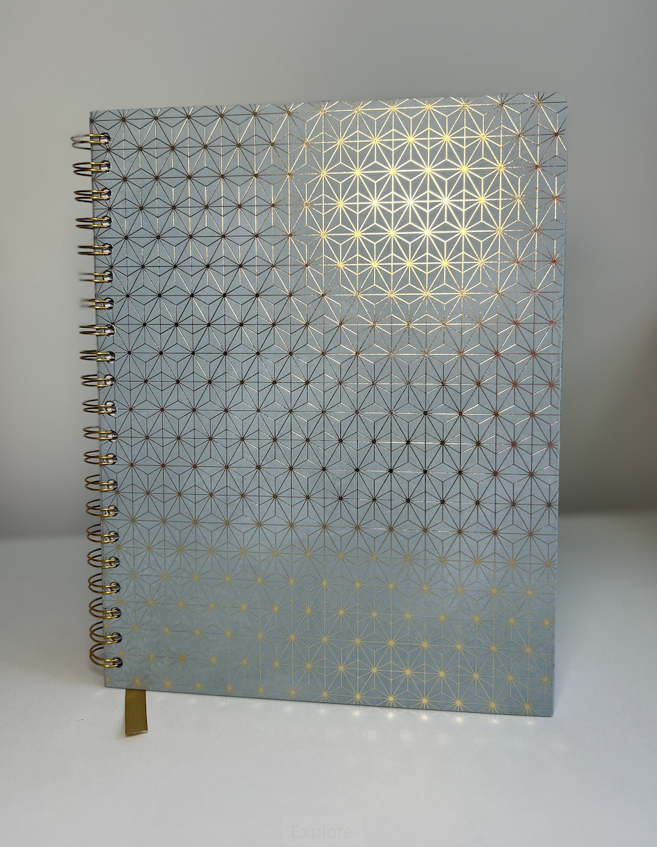 Chronicles of Light - 8.5x11 Romantasy Classic Reading Journal