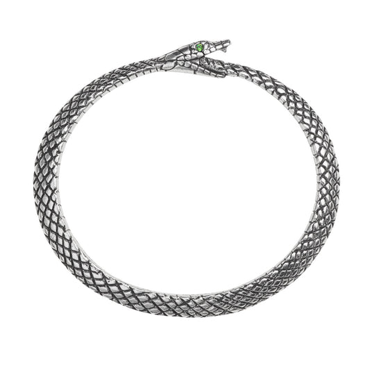 Serpent of the Eternal Bangle