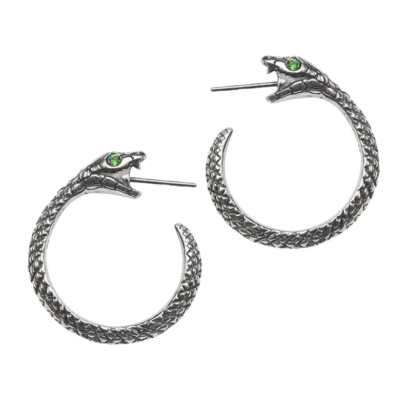 Ouroboros Earrings-zoom-