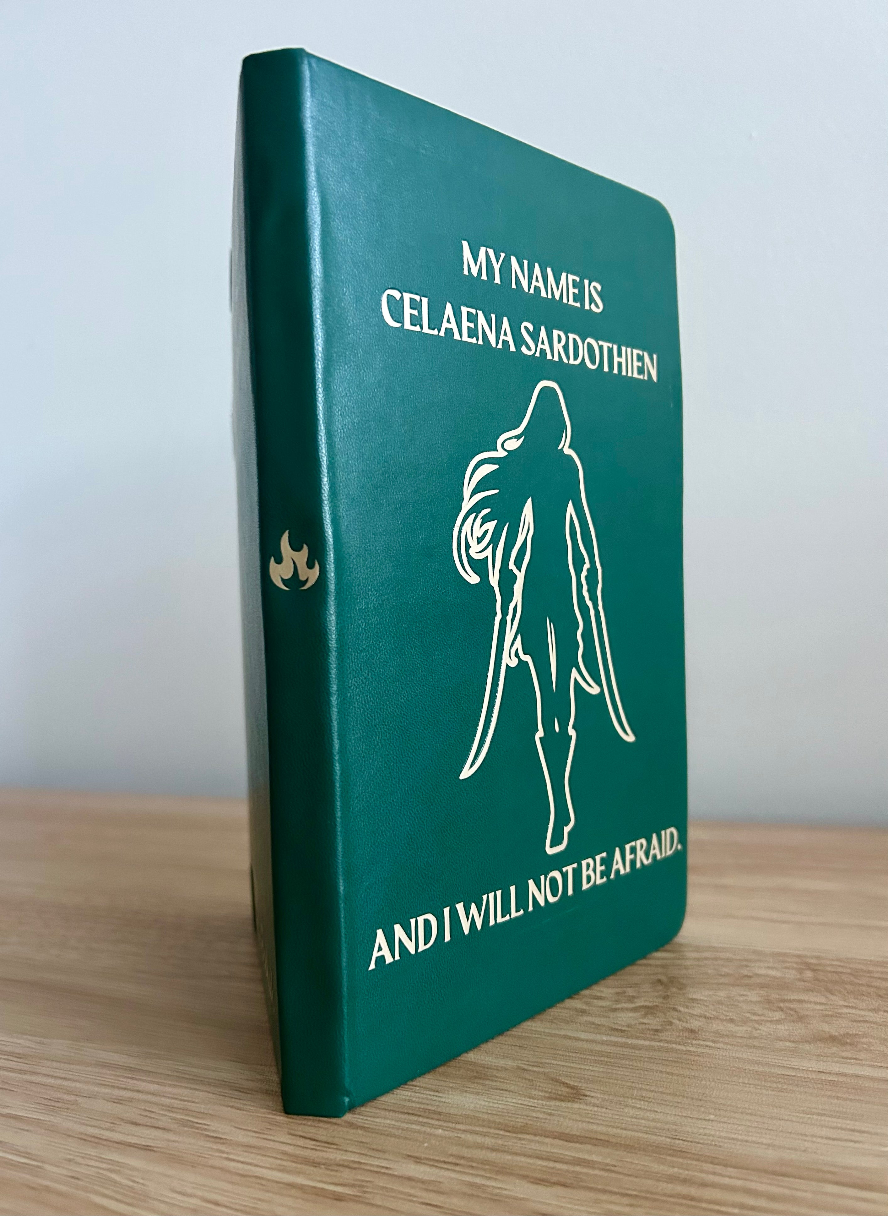 Not Afraid Journal – TOG Inspired Assassin Fantasy Notebook | Throne of Glass Reader Journal-zoom-2