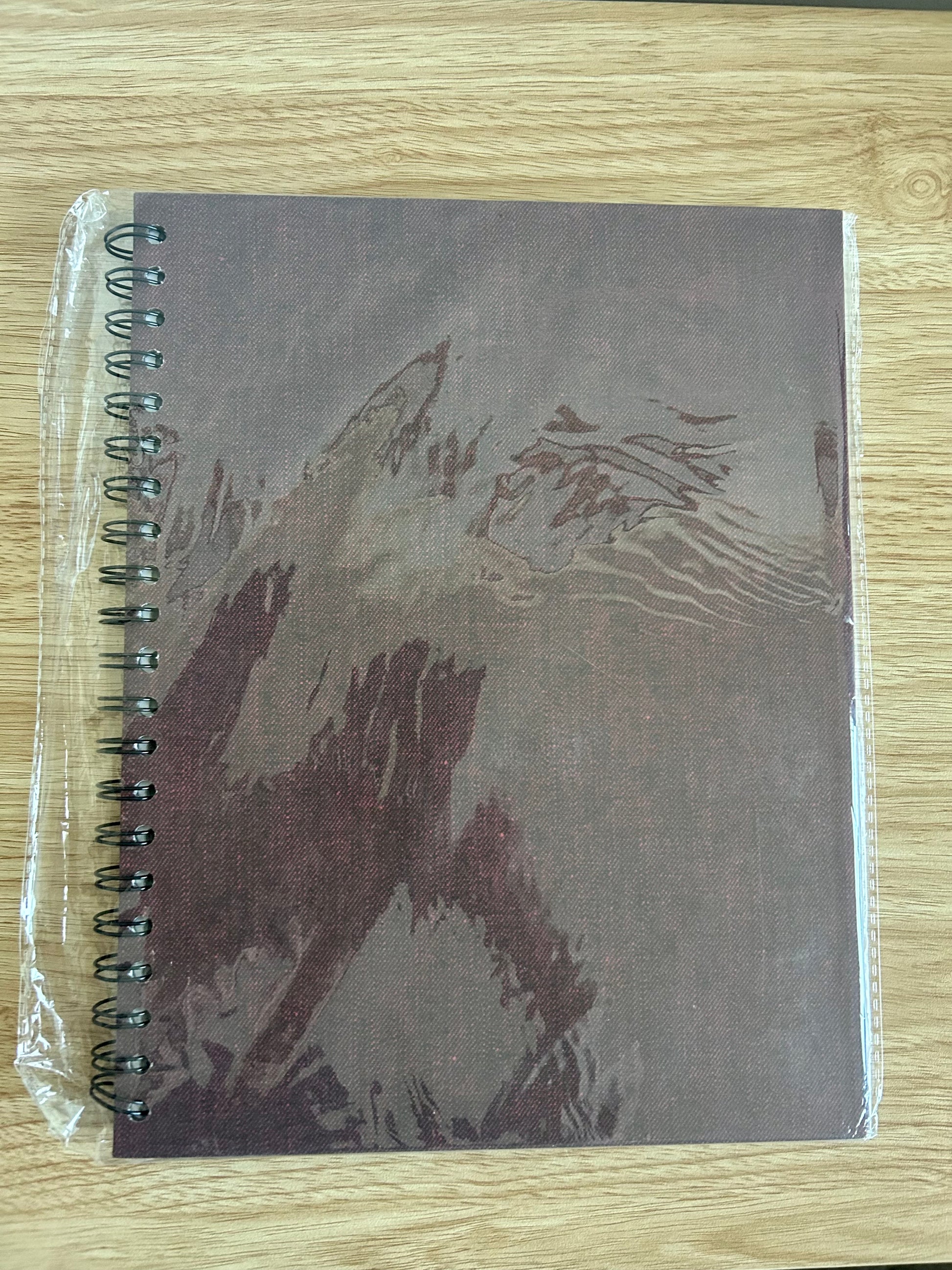 8.5x11 Witchy Reading Junk Journal-8