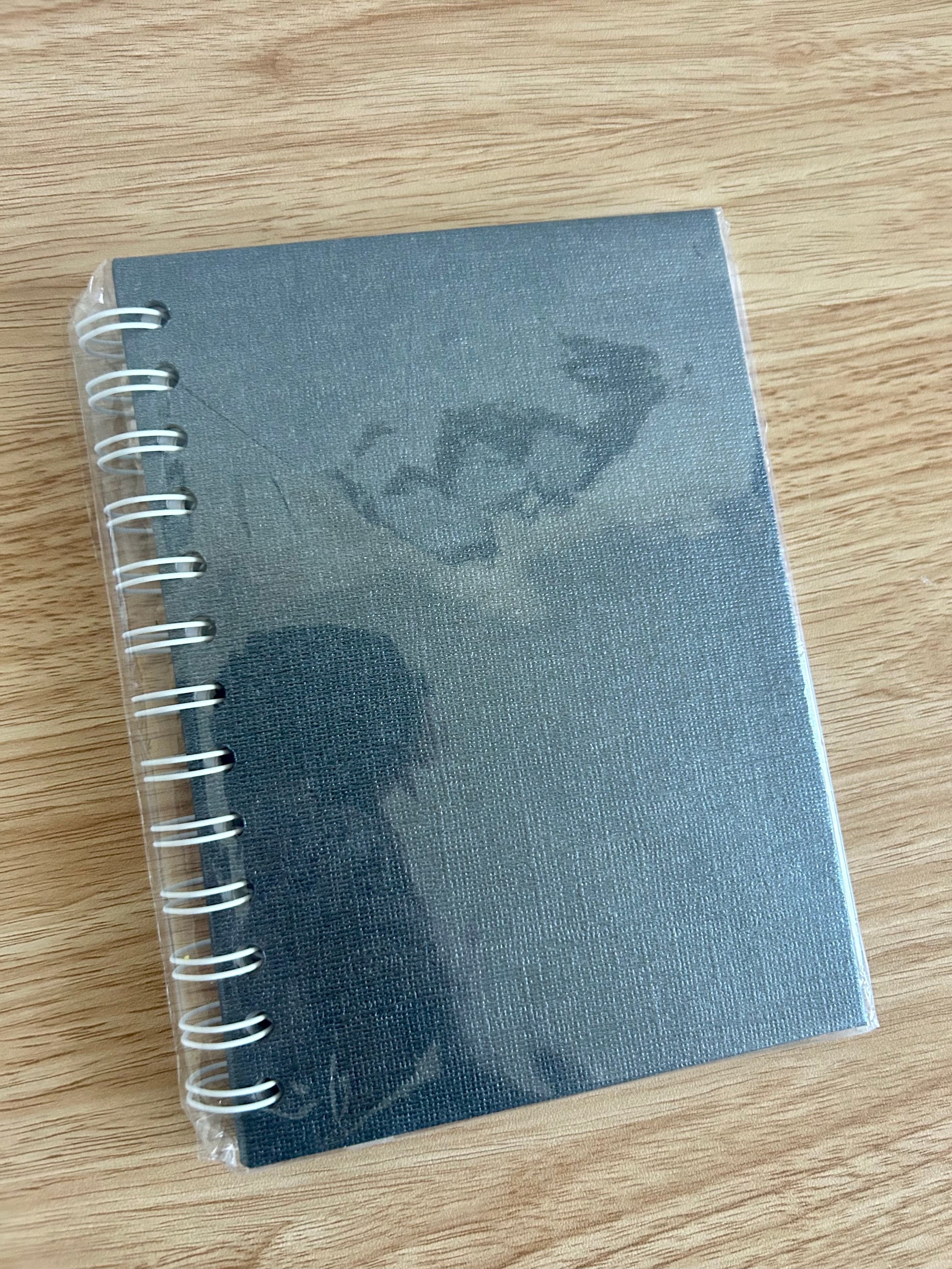 5x7 Romantasy Classic Reading Journal-4