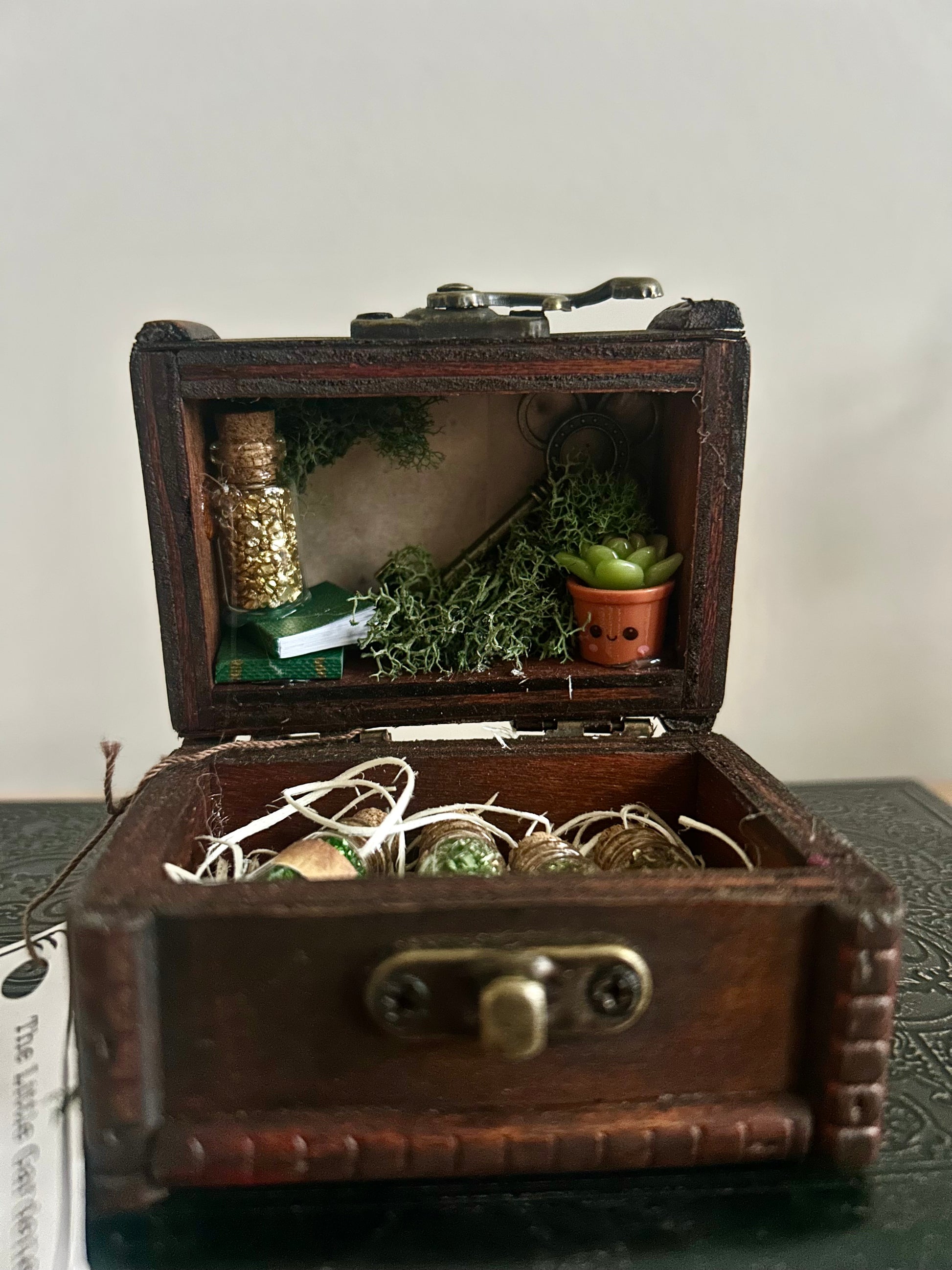 The Little Gardener’s Secret Chest-2