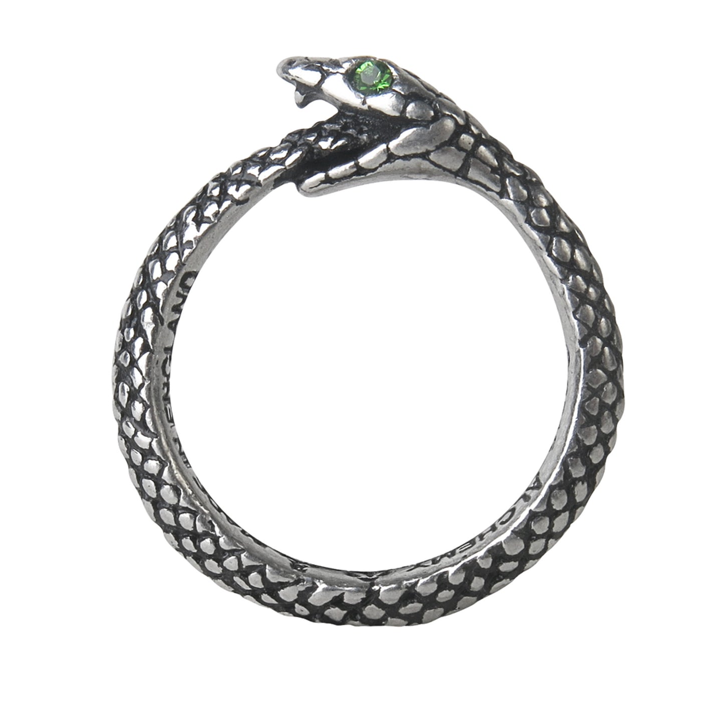 Serpent of the Eternal Ring