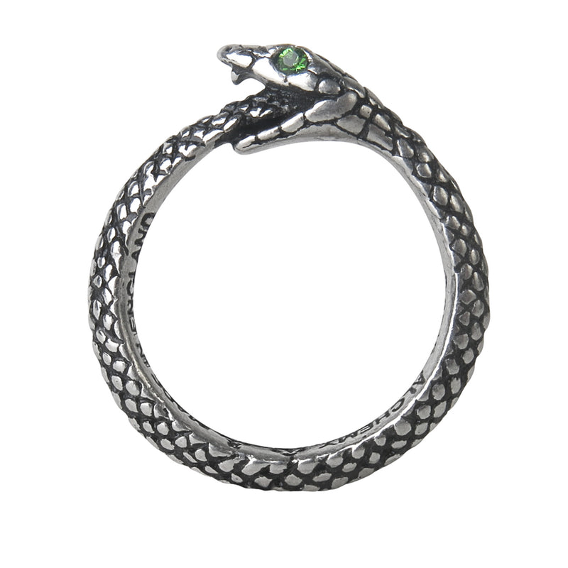 Ouroboros Ring-zoom-