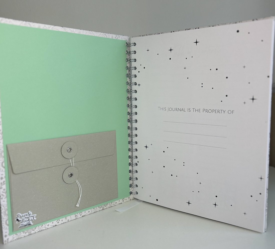 Silverwing Stories - 8.5x11 Romantasy Classic Reading Journal